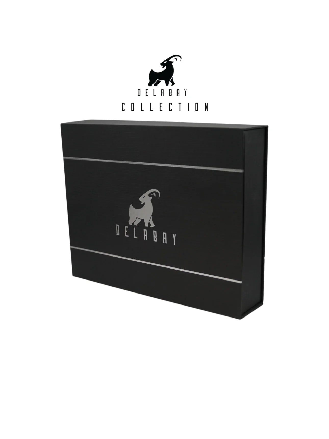 AIR BRUSH KIT DELABAY